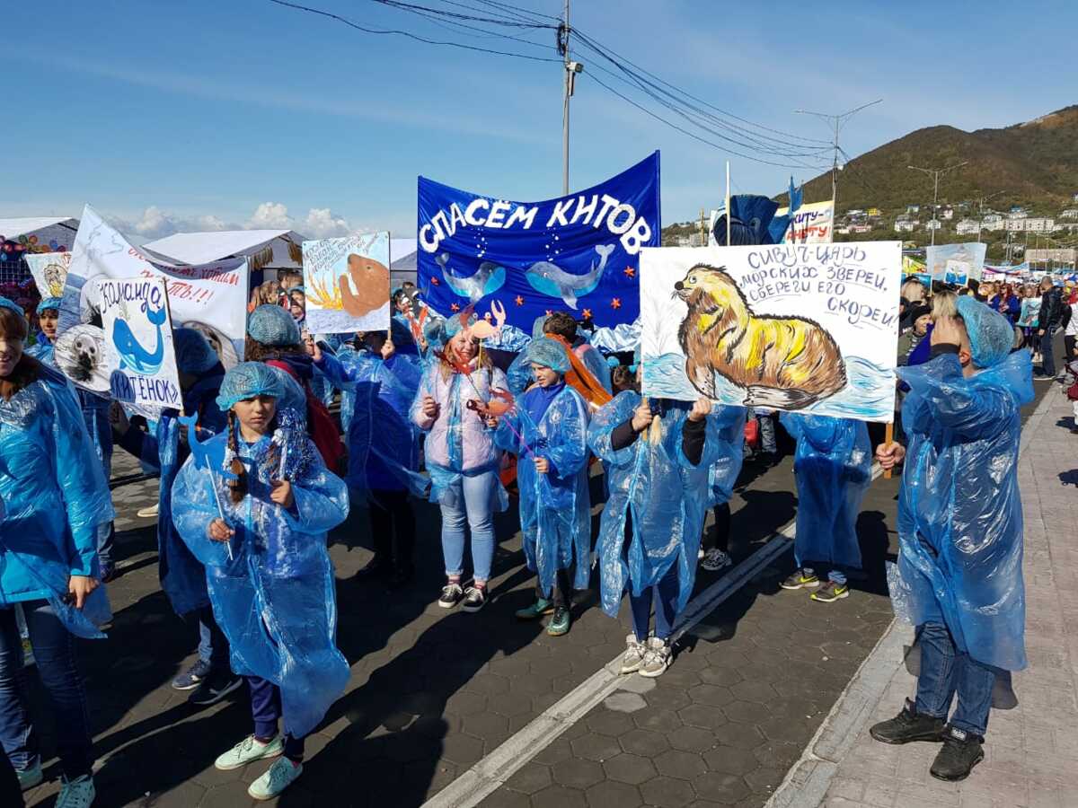 Экологический фестиваль «Море жизни» проходит на Камчатке