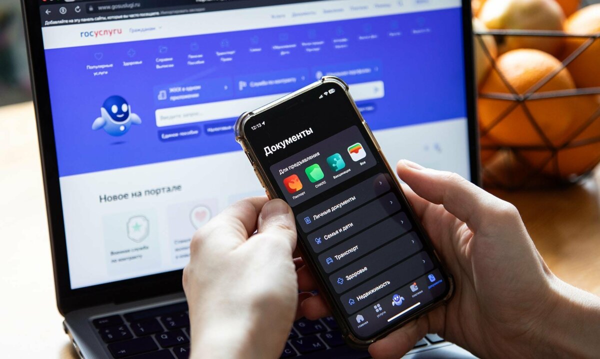Новый сервис от Госуслуг защитит камчатцев от интернет-мошенников