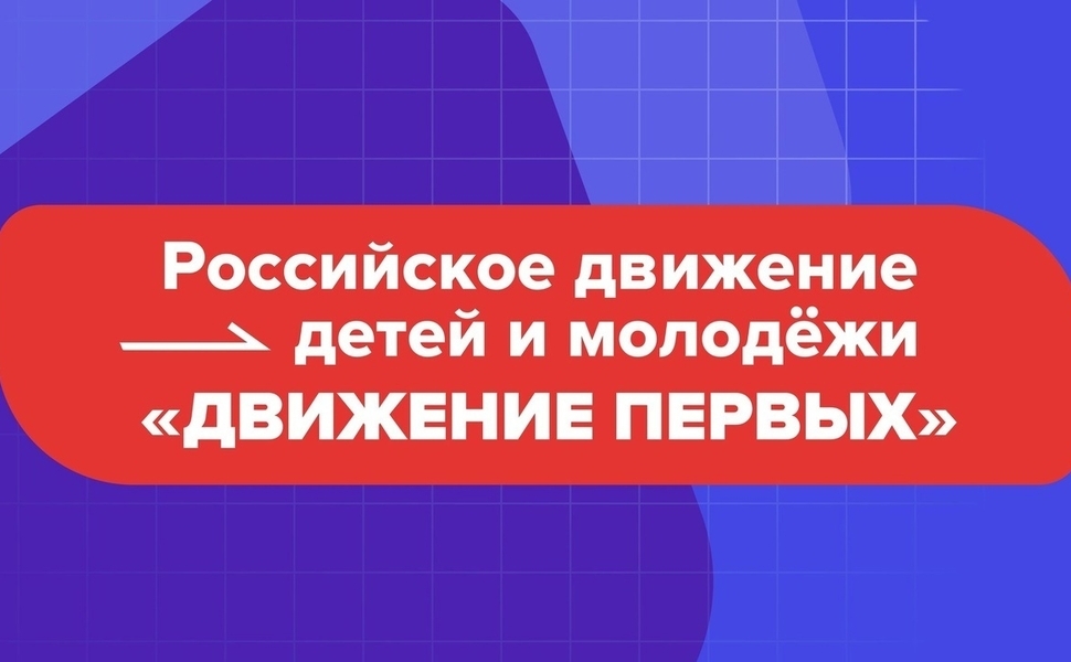 К началу лета первичные отделения «Движения первых» должны быть открыты во всех школах Камчатки