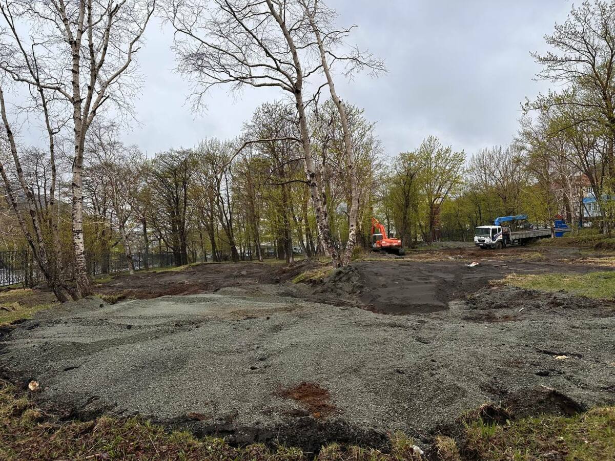 Первый этап благоустройства парка «Электрон» начался в столице Камчатки