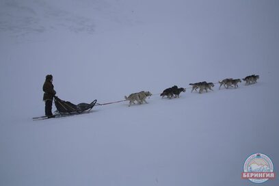 Фото: Виктор Гуменюк