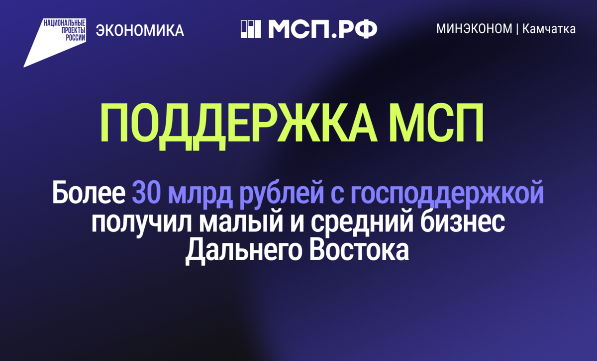 Более 30 млрд рублей с господдержкой получил малый и средний бизнес Дальнего Востока 