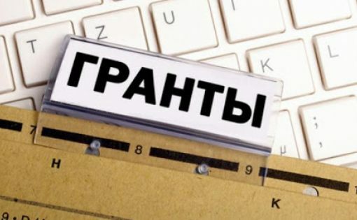 30 миллионов рублей смогут получить некоммерческие организации Камчатки на реализацию своих проектов