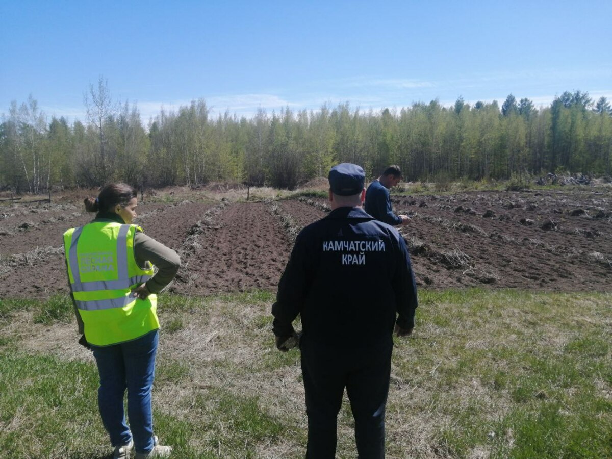 Специалисты лесного хозяйства Камчатки проводят совместные рейды в рамках межведомственного контроля