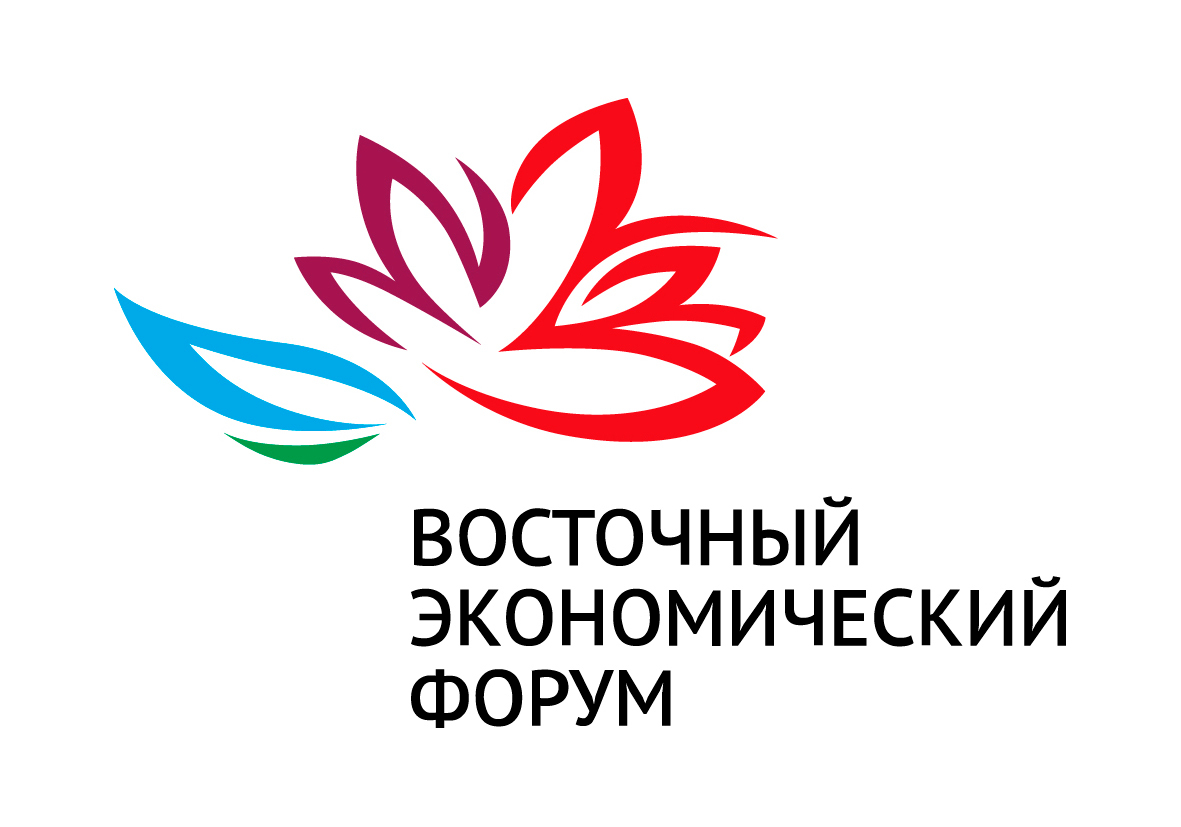 Владимир Солодов обозначил главные направления для обсуждения на Восточном экономическом форуме