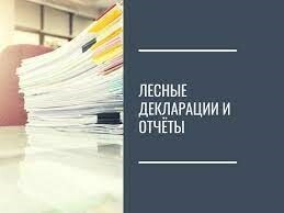 Лесные декларации и отчёты об использовании лесов подаются через портал Госуслуг.