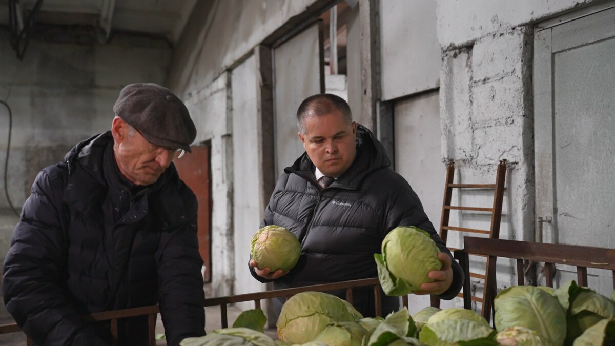 Цена на «борщевой набор», выращенный на Камчатке, остается на уровне прошлого года