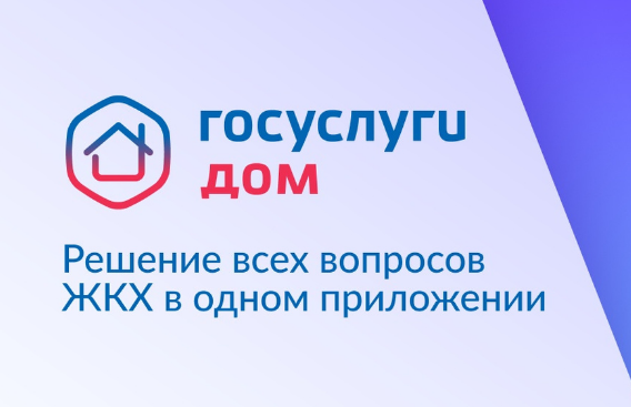 Более 22 000 жителей Камчатки установили приложение «Госуслуги. Дом» в 2024 году