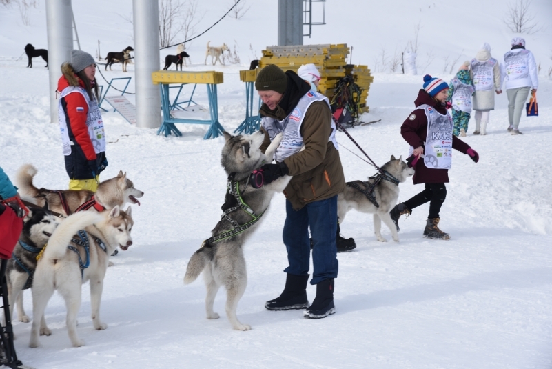 В комиссию по отбору «народного ведущего» вошли деятели культуры Камчатки и столицы России