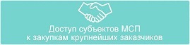 О доступе субъектов малого и среднего предпринимательства к закупкам крупнейших заказчиков